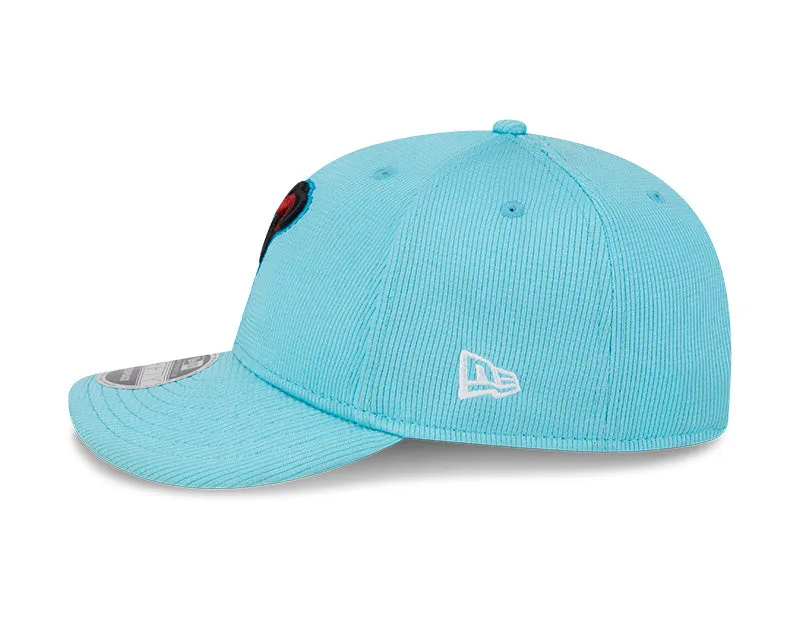 Arizona Diamondbacks 2024 Spring Taining Low Profile 9Fifty Snapback Hat