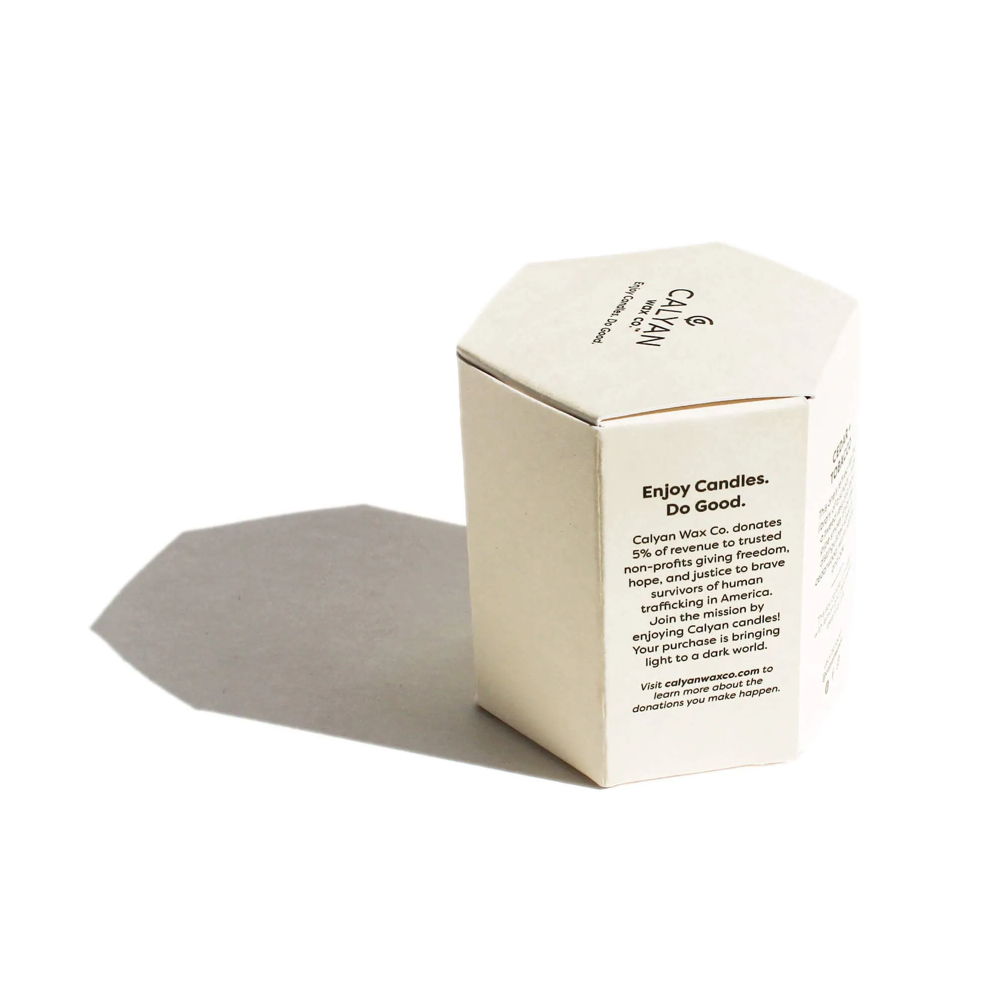 Desert   Agave Glass Tumbler Soy Candle