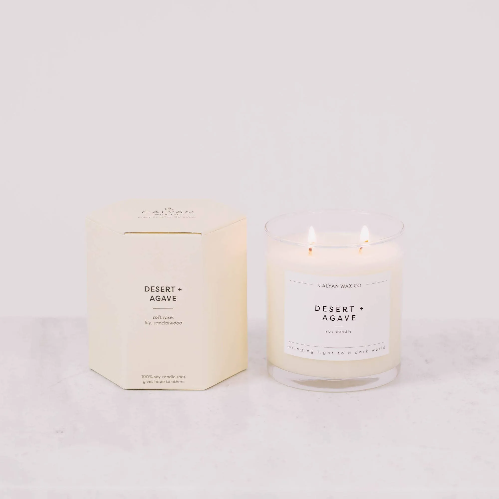 Desert   Agave Glass Tumbler Soy Candle