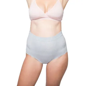 Frida Mom Disposable High-waist Underwear - C-Section Brief - Regular (8 pack)