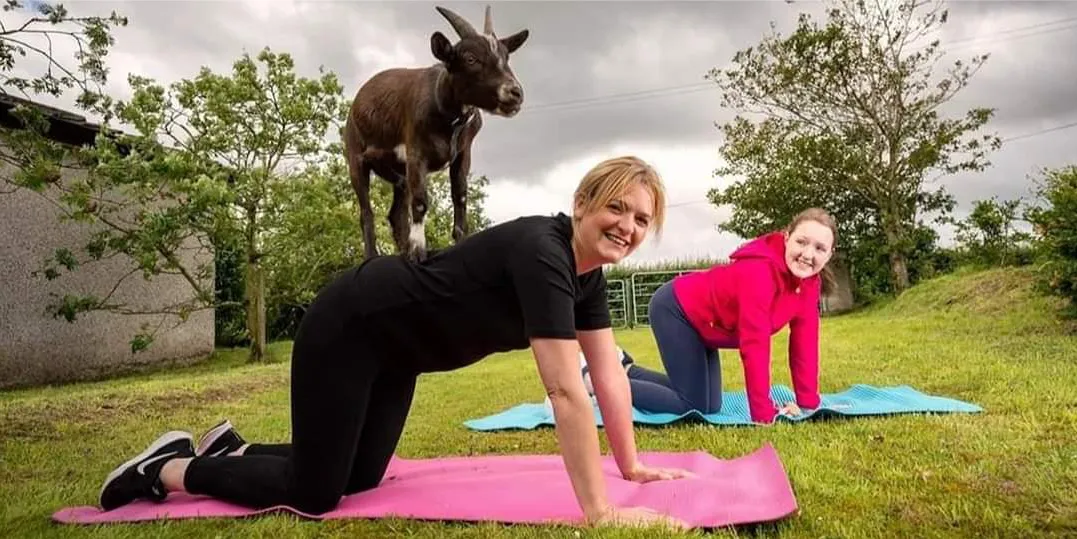 Goat Yoga - Sunday 9th March 2025 12am