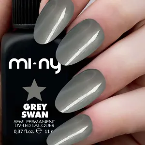 GREY SWAN