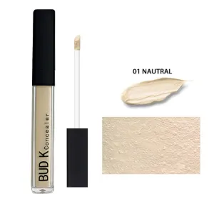Liquid Concealer