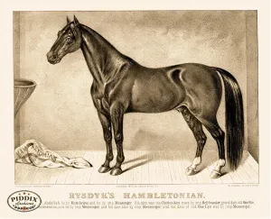 PDXC21058 -- Horse Rysdyk's Hambletonian Stable