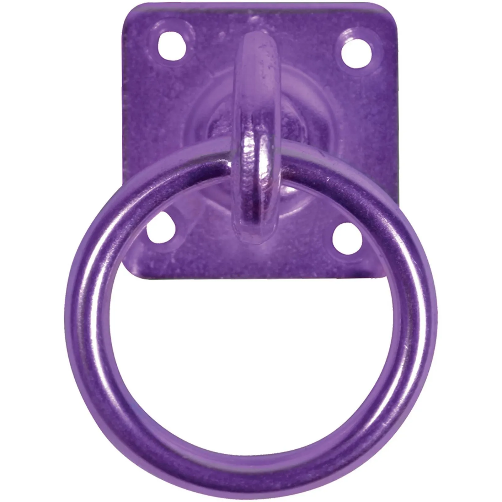 Perry Equestrian 50mm x 50mm Swivel Tie Ring on Plate