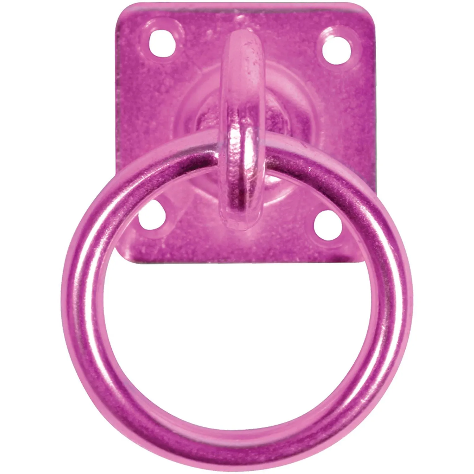 Perry Equestrian 50mm x 50mm Swivel Tie Ring on Plate