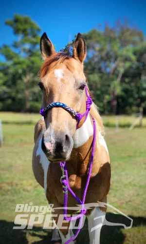 Purple Beaded Rope Halter