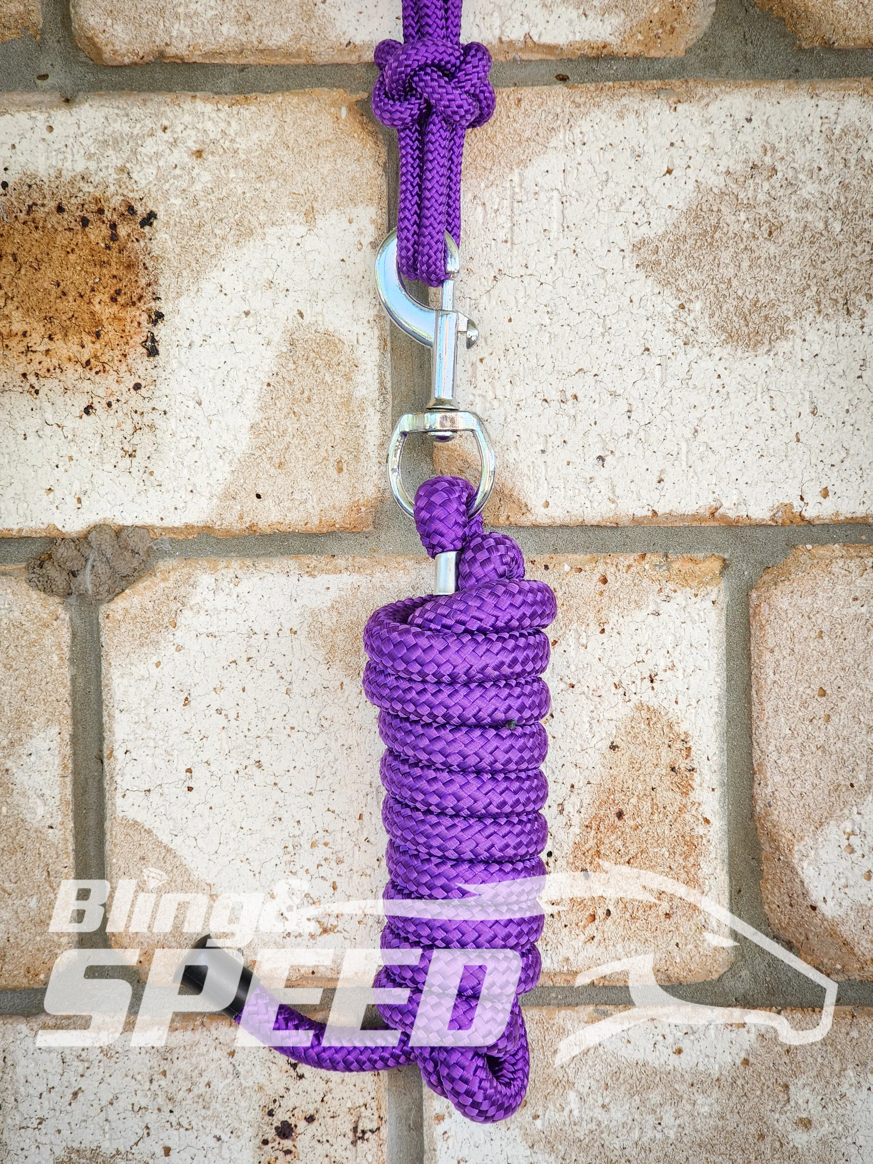 Purple Beaded Rope Halter