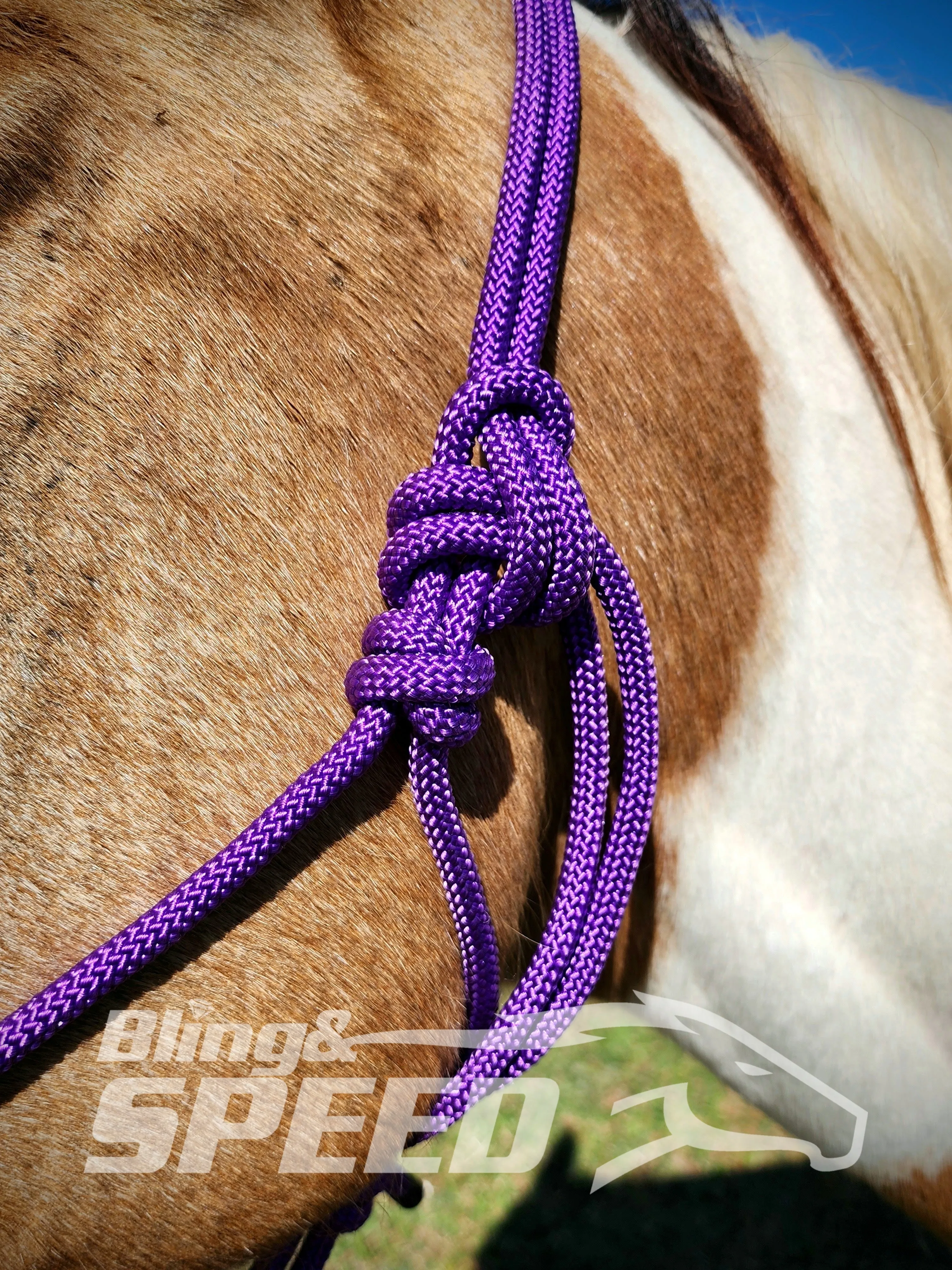 Purple Beaded Rope Halter