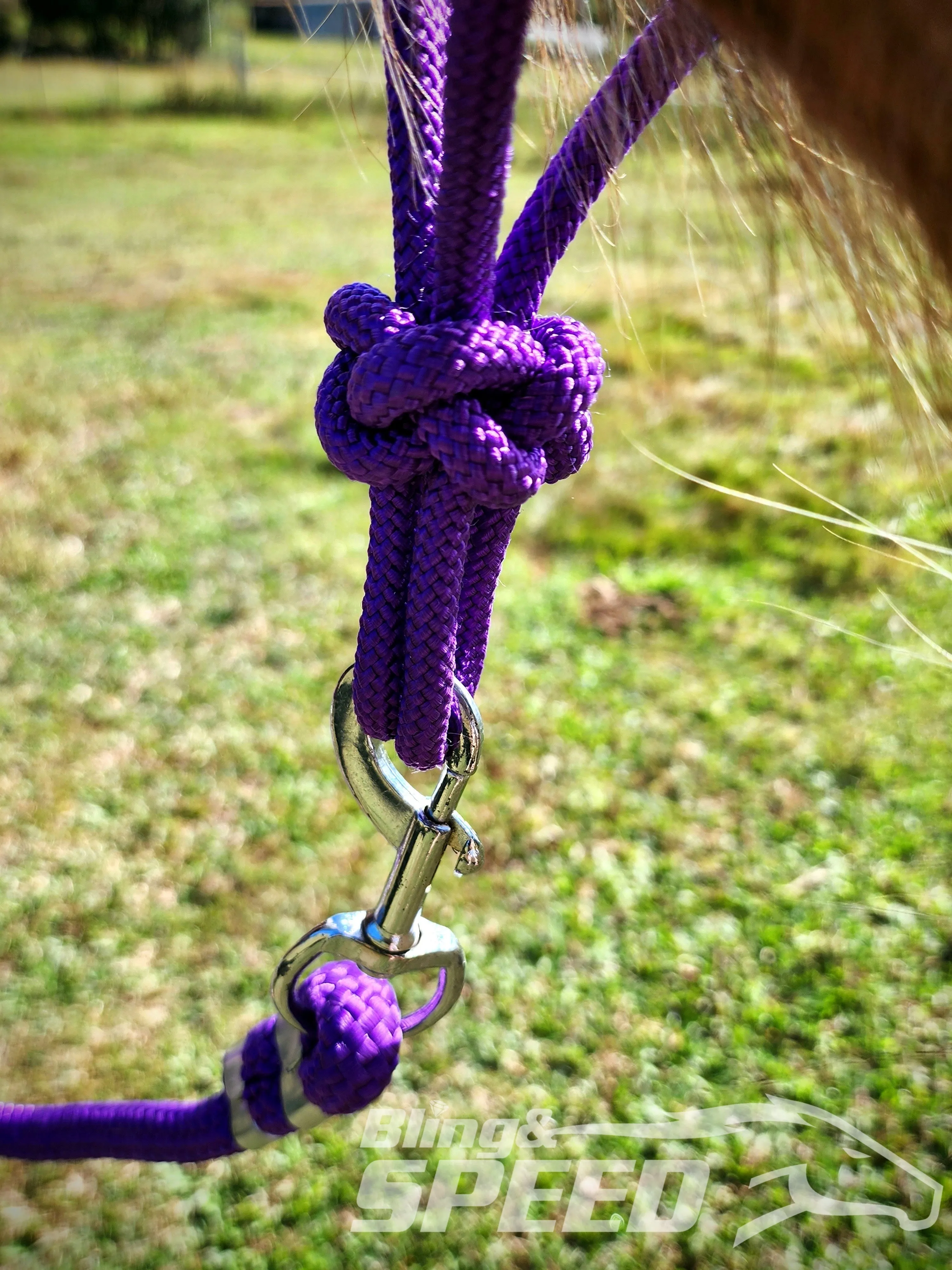 Purple Beaded Rope Halter