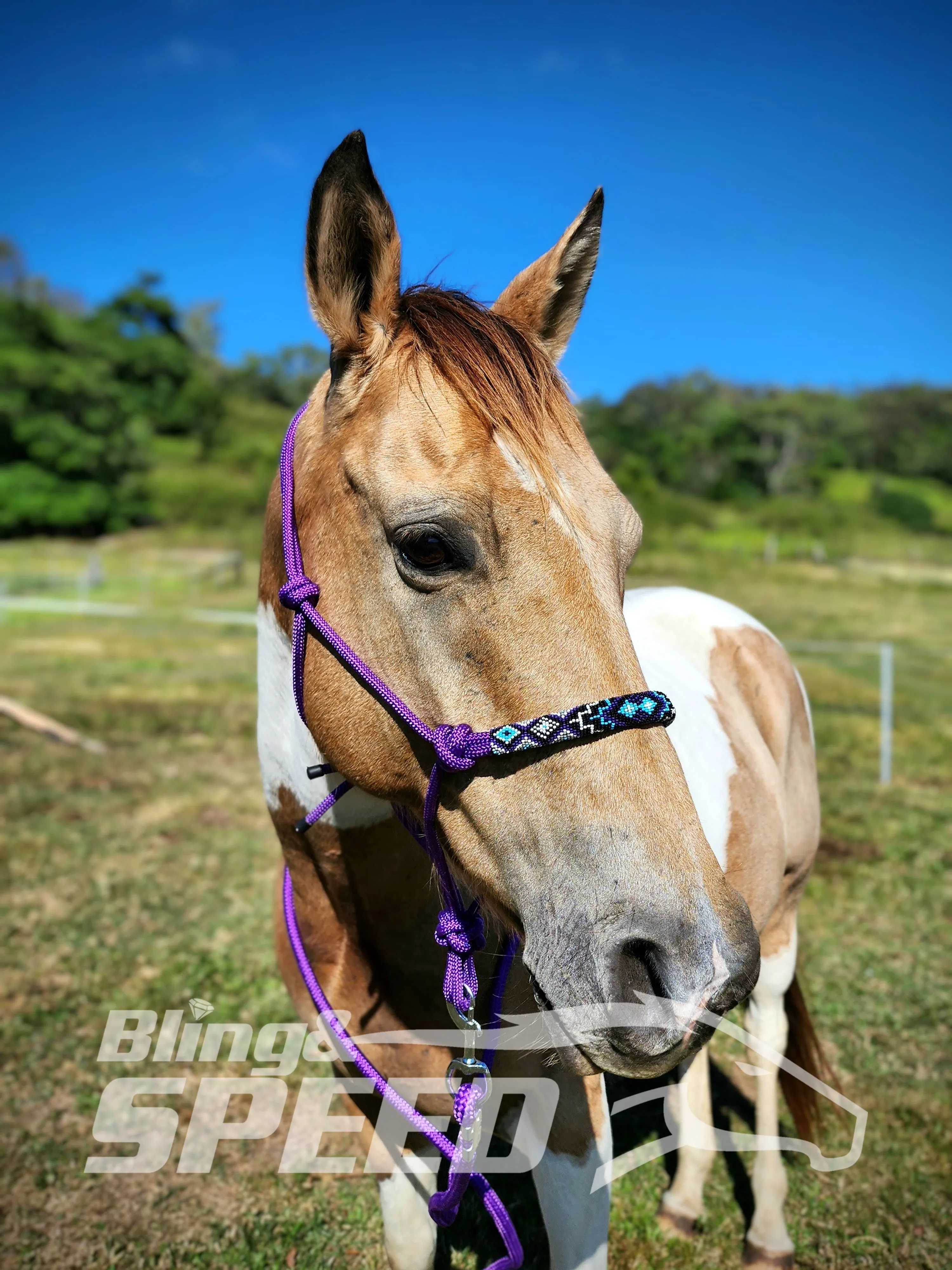 Purple Beaded Rope Halter