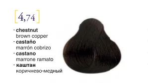 Salerm© Salermvison Professsional 4,74 Chestnut Brown Copper 2.3oz