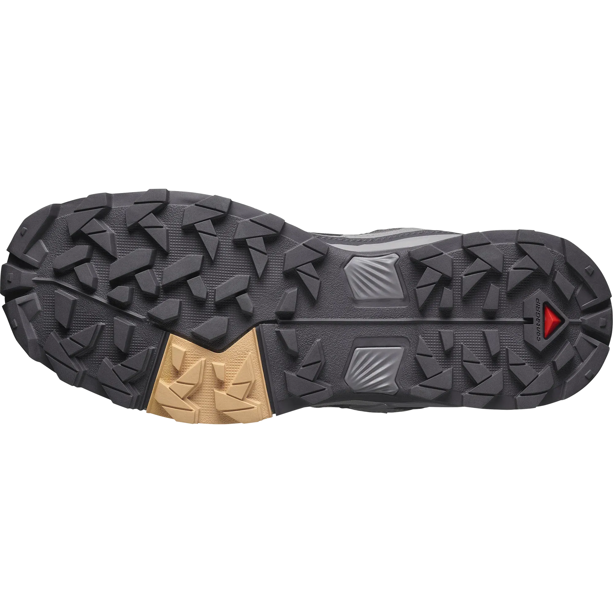 Salomon X Ultra 5 GORE-TEX (Women's)