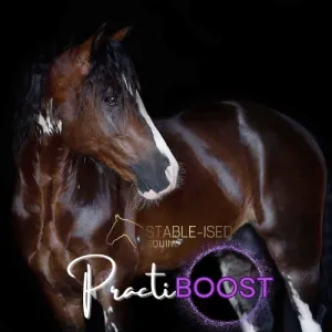 Stable-Ised Equine PractiBOOST (NO AFTERPAY)