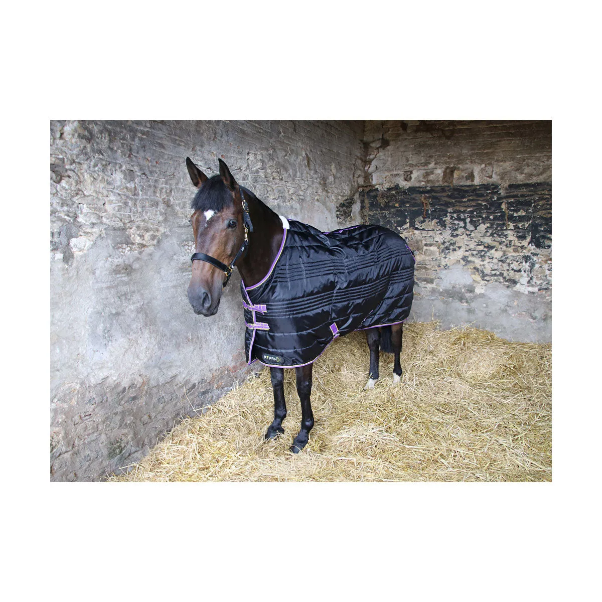 StormX Original 200 Stable Rug