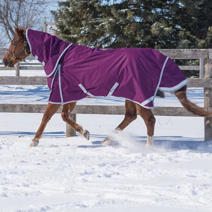 TK20700-72-Plum Winter Turnout w/Hood - Diablo Denali