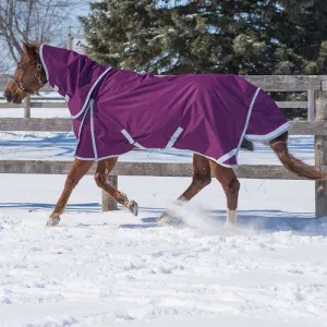 TK20700-75-Plum Winter Turnout w/Hood - Diablo Denali
