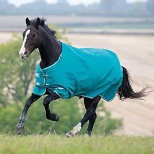 TK9680-63"-Teal Blanket Winter Tempest Plus 200G/1200D