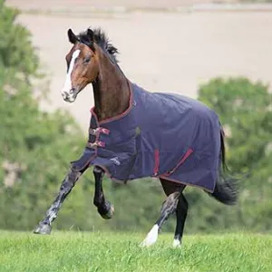 TKBLA844-75"-Navy Blanket Winter Turnout Highlander Plus Combo 300g