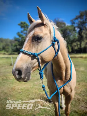 Turqouise Beaded Rope Halter