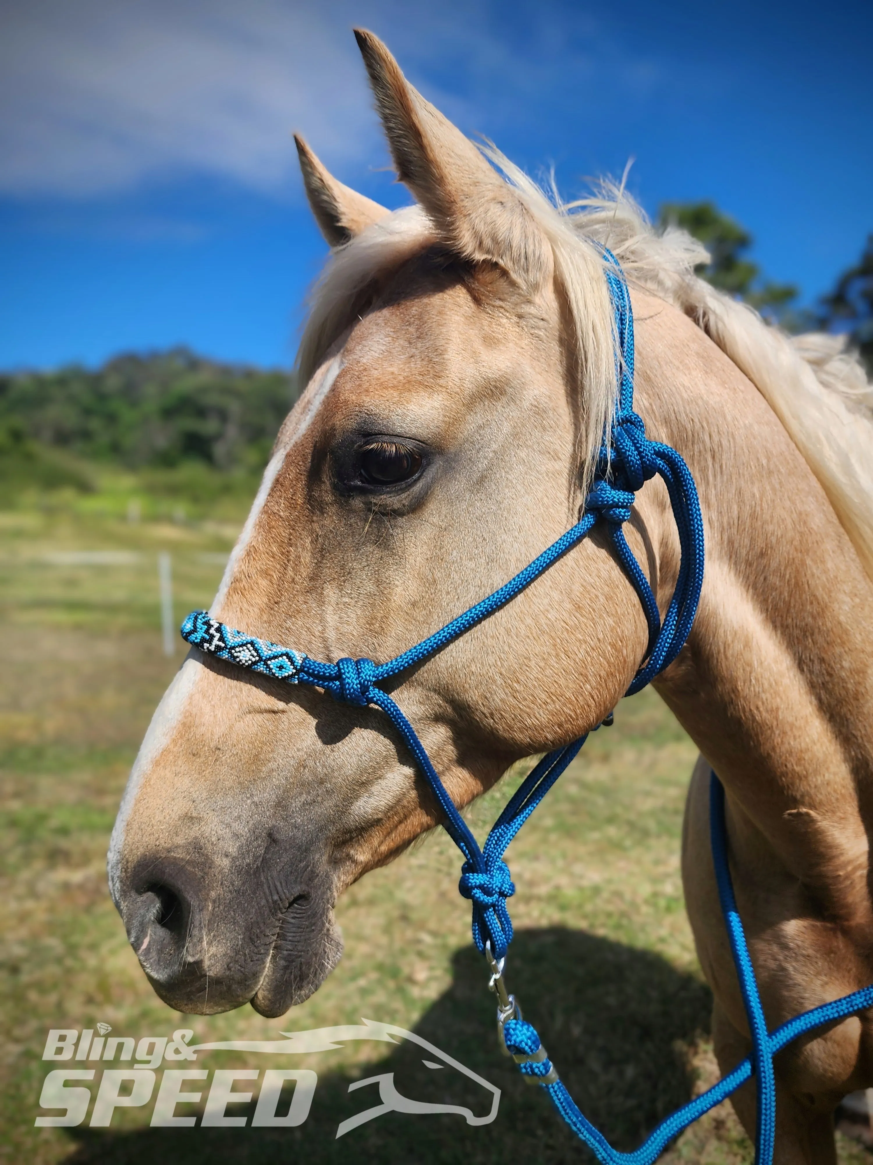 Turqouise Beaded Rope Halter