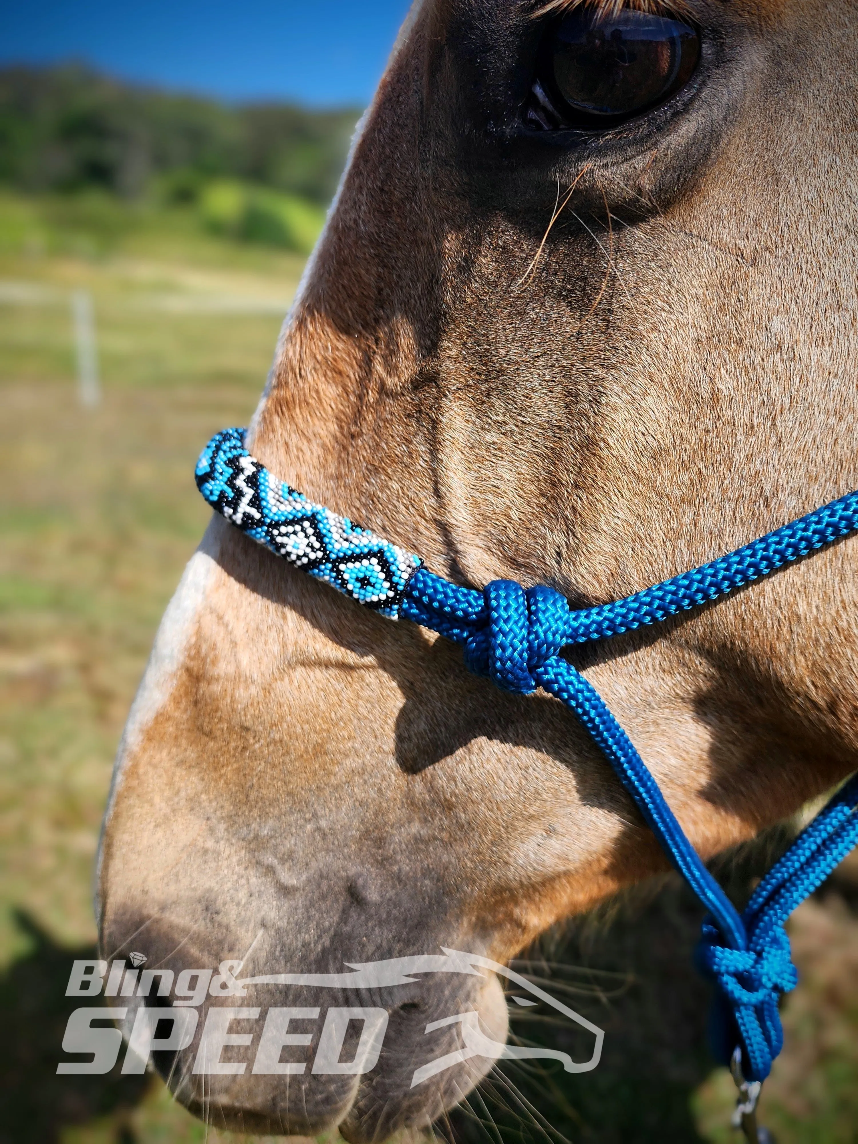 Turqouise Beaded Rope Halter