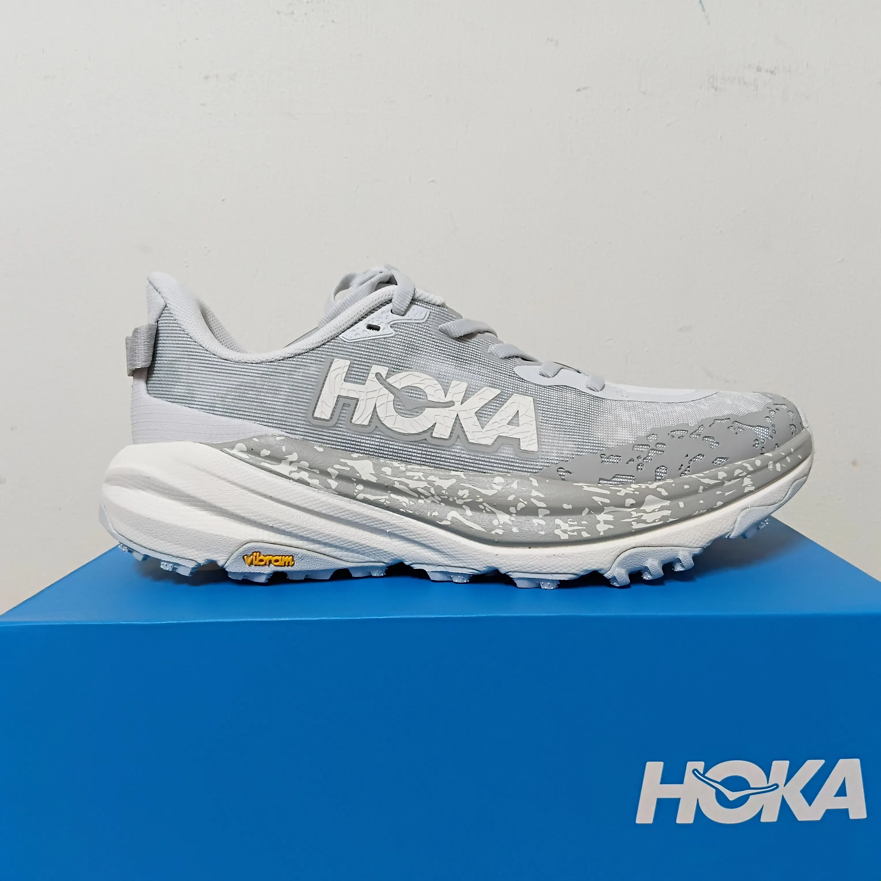 Womens Hoka Speedgoat 6 (B-Width)