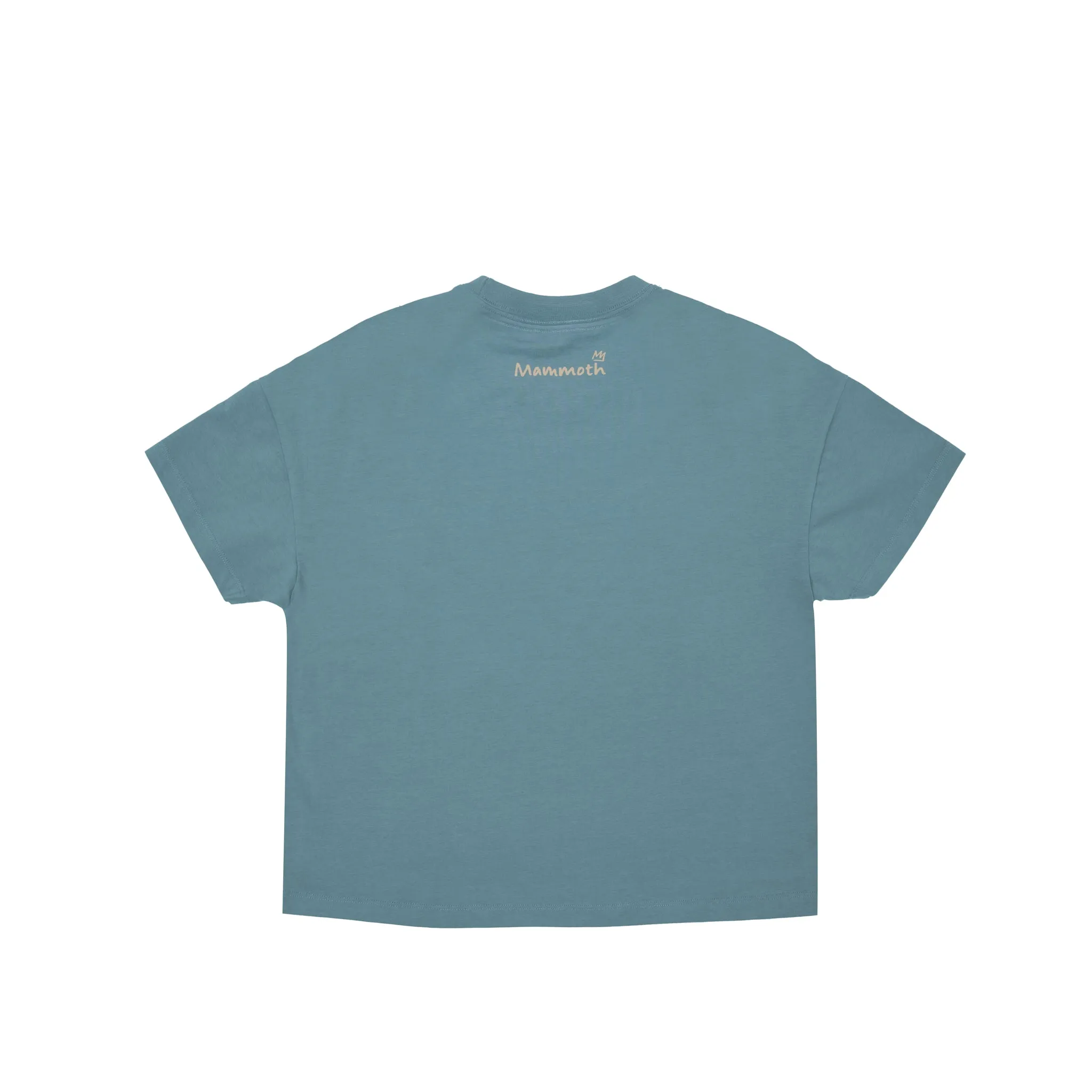 WOMENS MOUNTAINSCAPE BOXY SS TEE