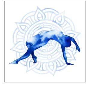 Yoga Flow V