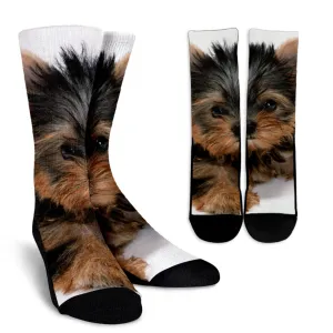 Yorkie Socks